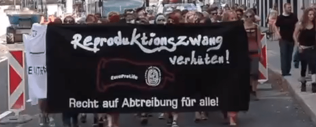 Protesters_in_Austria-July_25_2013-620x250