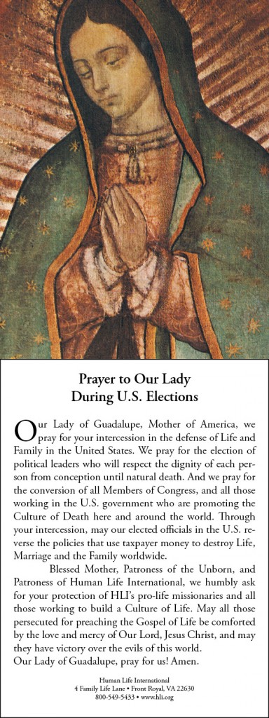 Our Lady of Guadalupe Prayer for Elections