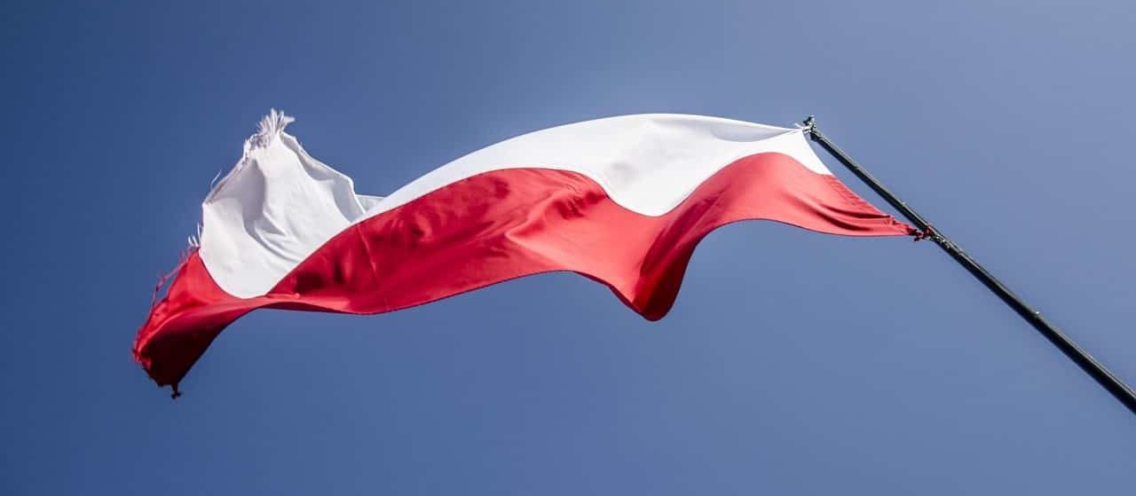 Polish Flag Flag Patriotism Flag Of Poland Poland