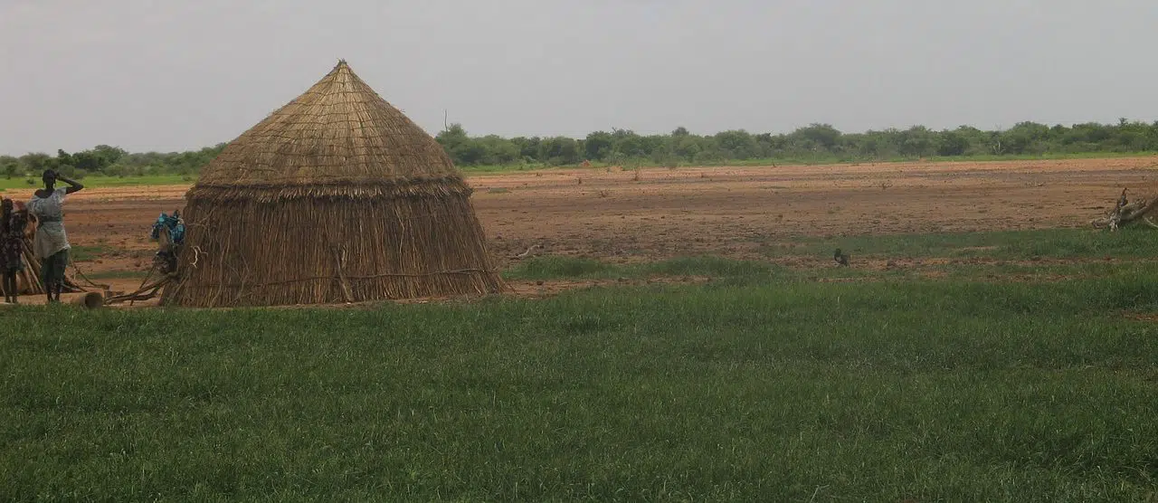 african landscape with hut
