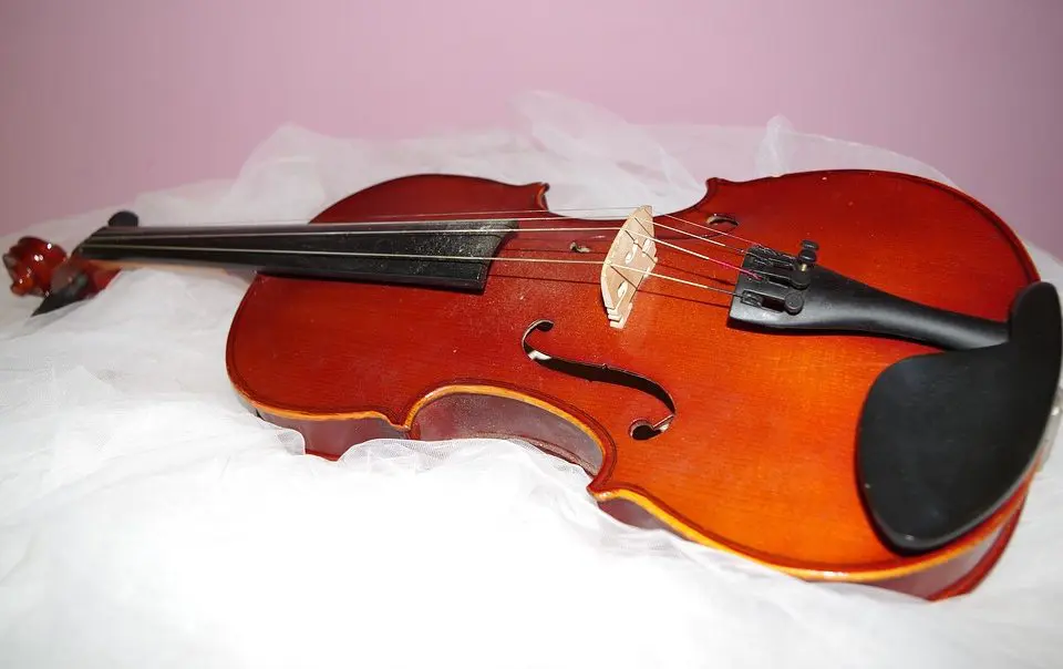 violin