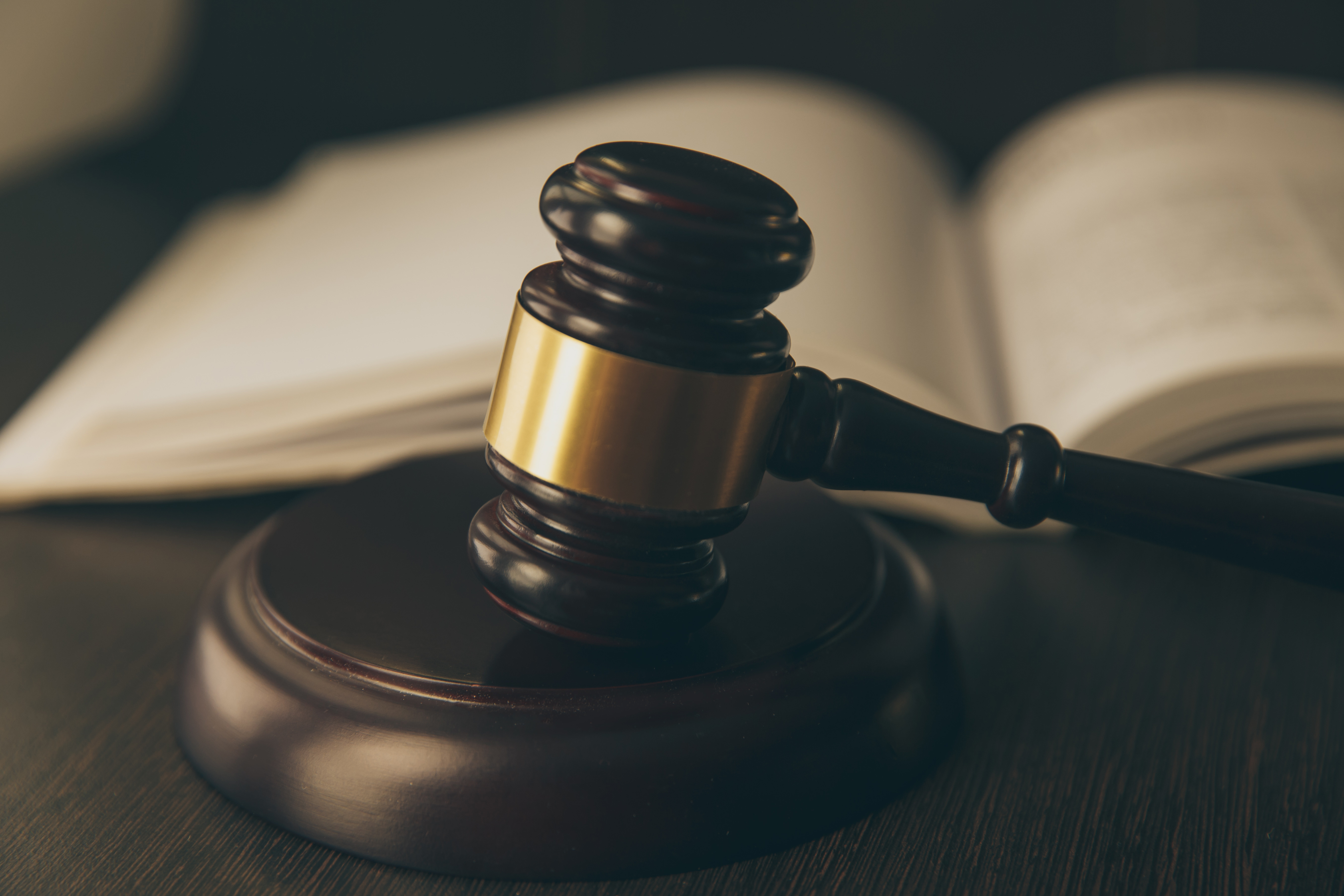gavel with open book