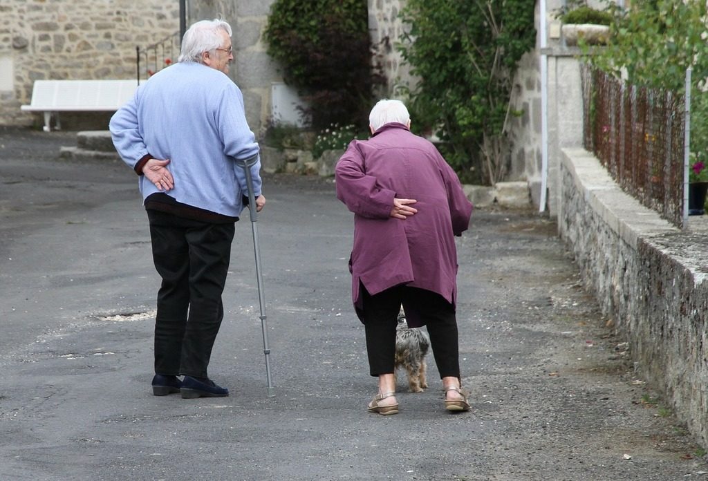 elderly couple walking with a dog
