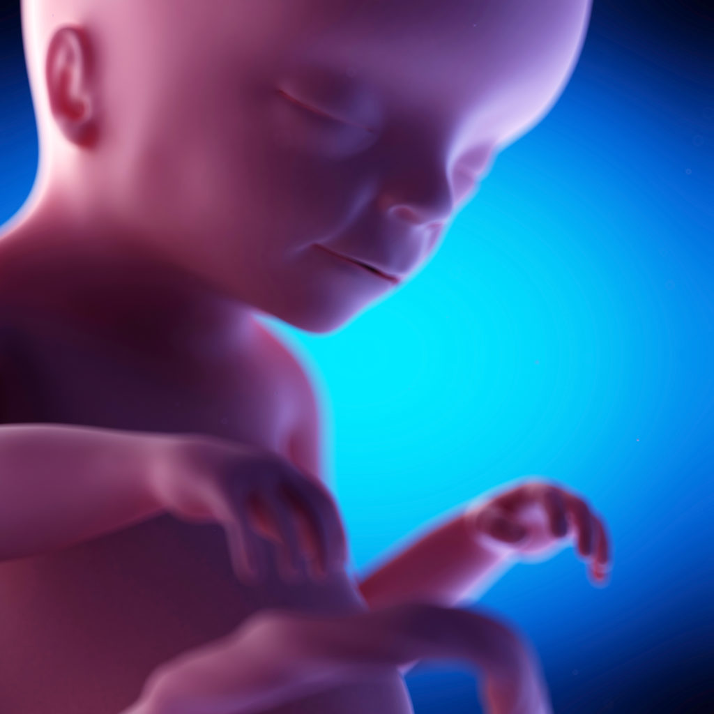 Pain Capable Unborn Child Protection Act