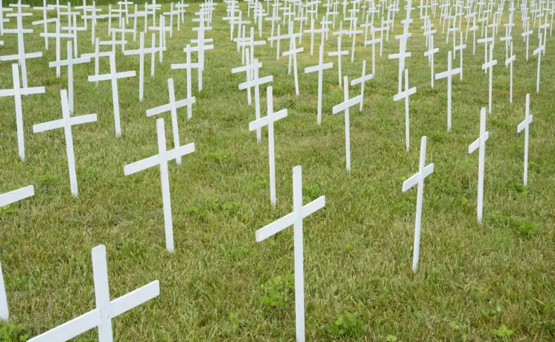 Cemetery where crosses mark loss of the Unborn. Image: courtesy of LifeSiteNews.