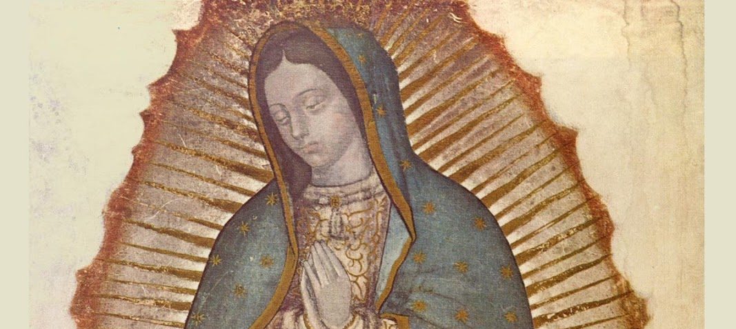 our lady of guadalupe
