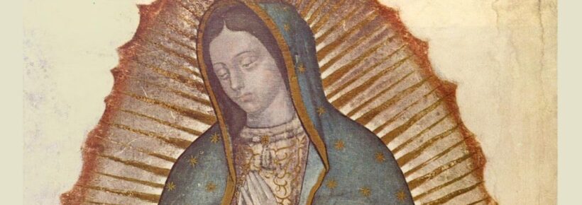 our lady of guadalupe waist up