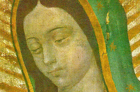 our lady of guadalupe