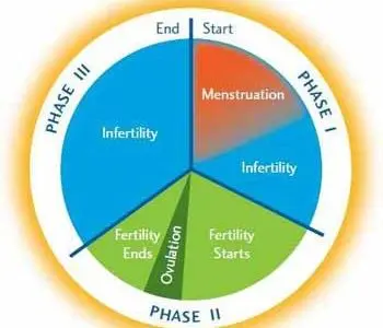 Humanae Vitae Summary