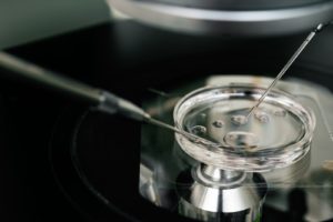 IVF, in vitro fertilization