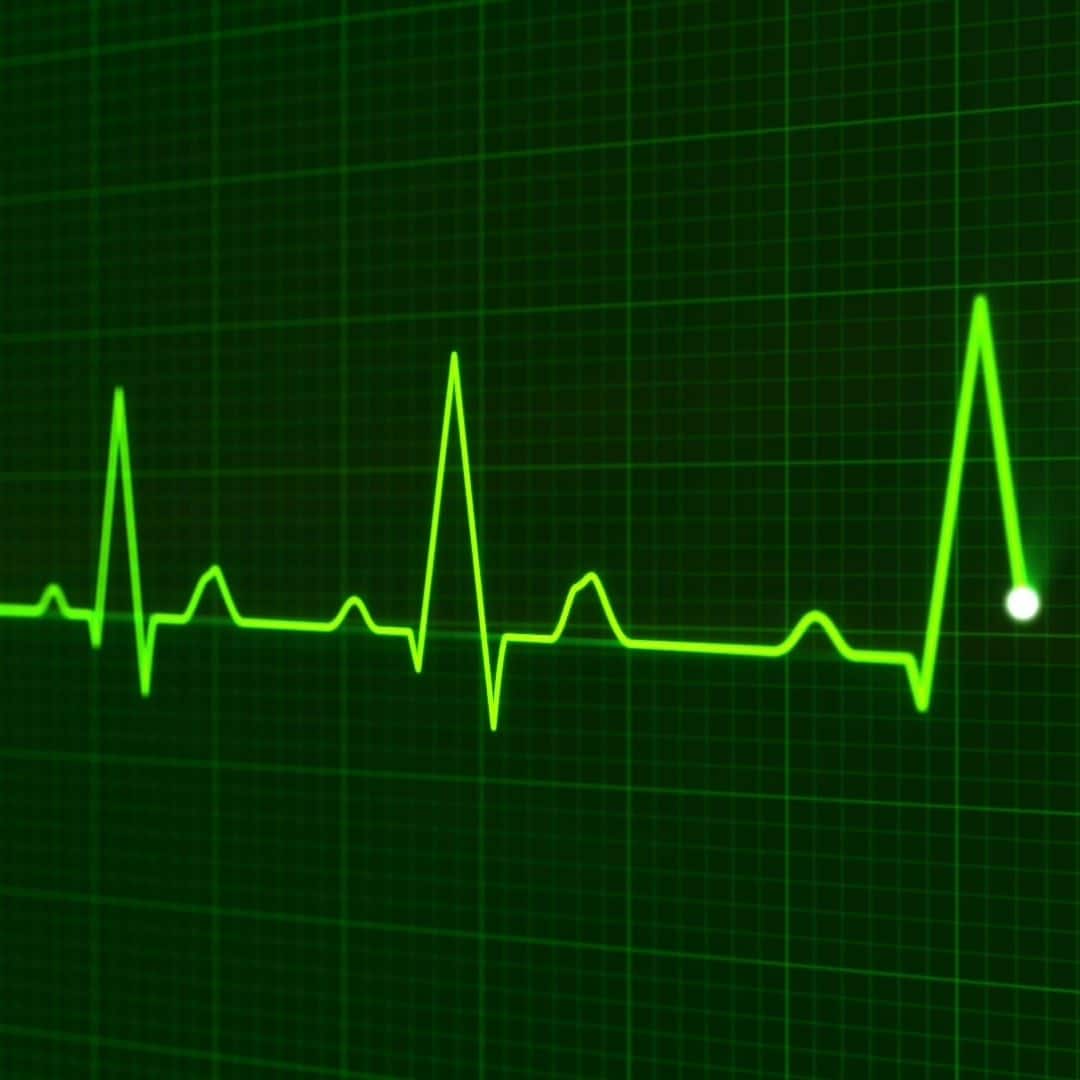 When Does a Fetus Have a Heartbeat?