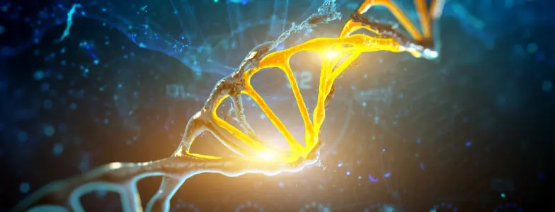 DNA
