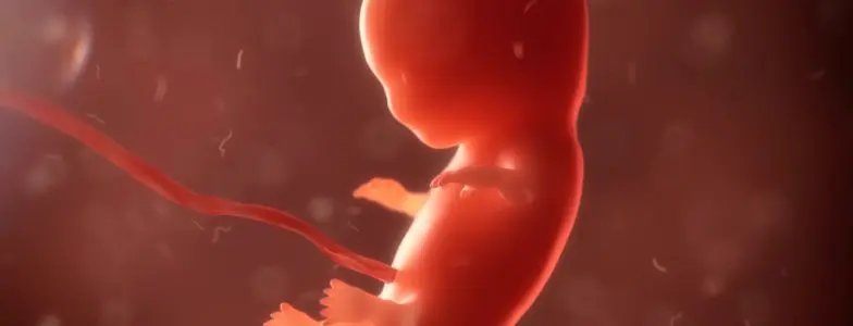 tiny fetus
