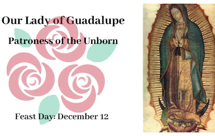 pray for abortion forgiveness OL of Guadalupe