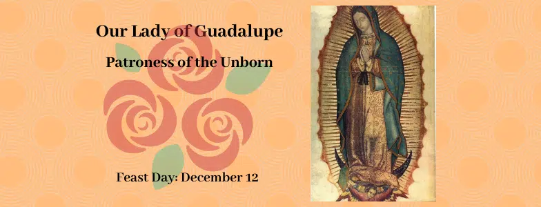 our lady of guadalupe patroness of the unborn