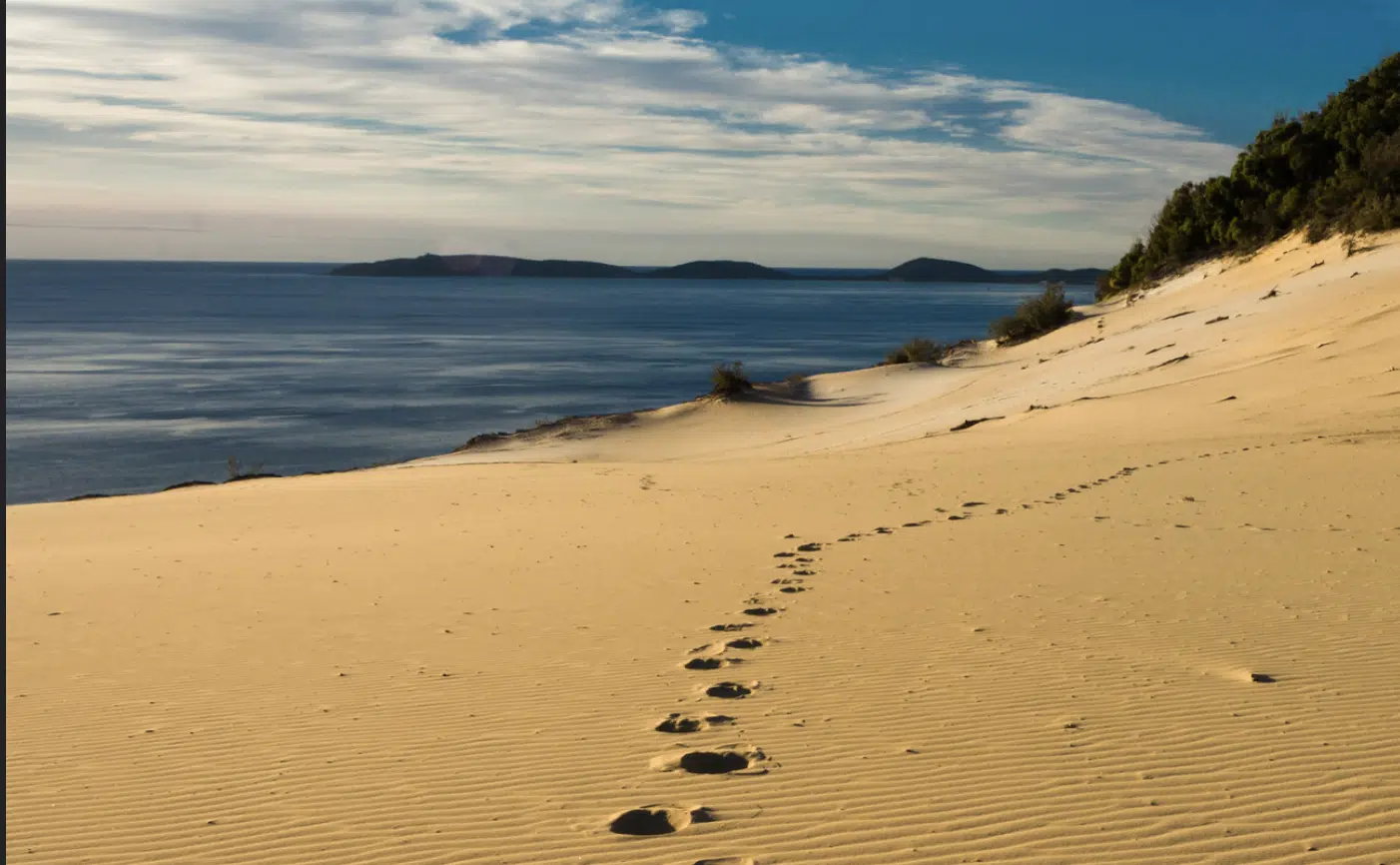 footprints in the sand