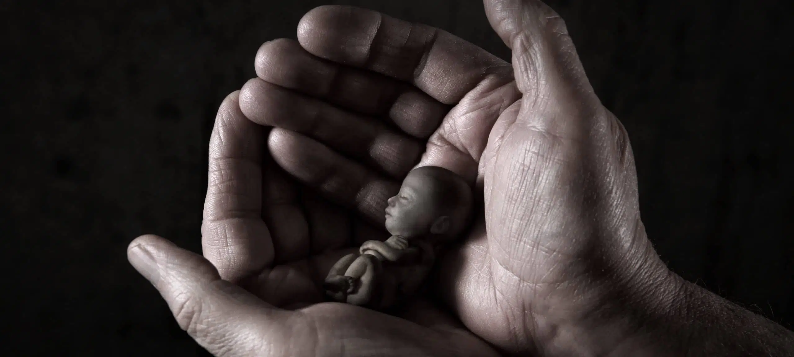 Male hands cradling a small fetus