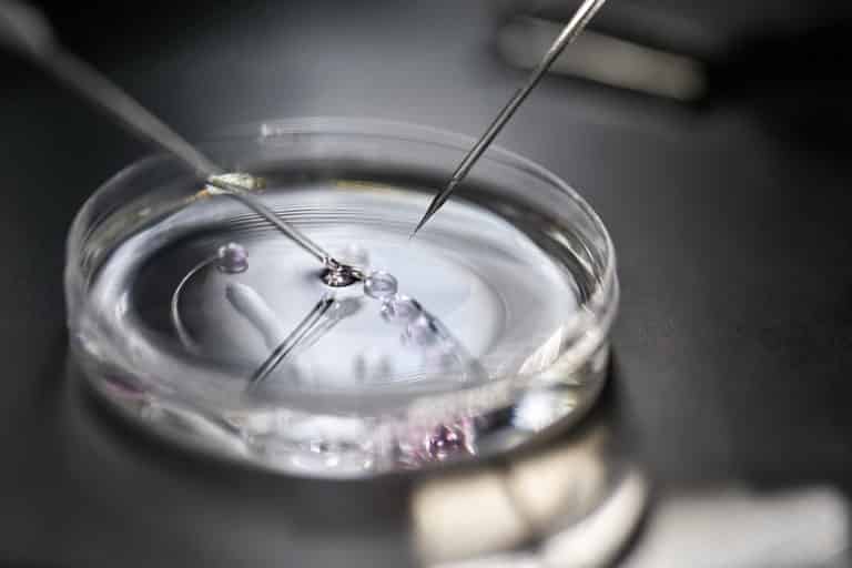 ivf in vitro fertilization ethical issues
