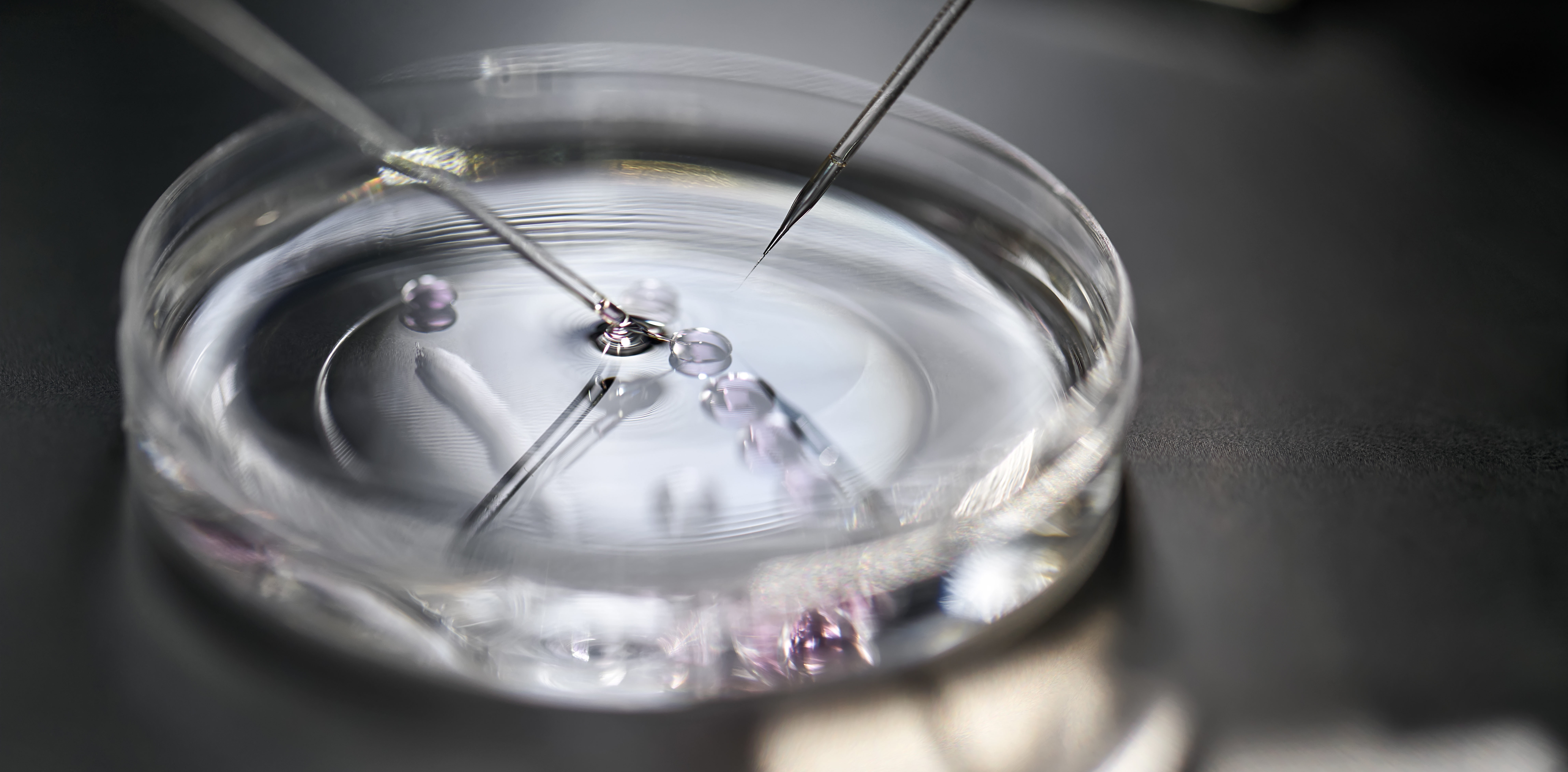 In Vitro Fertilization Ethical Issues