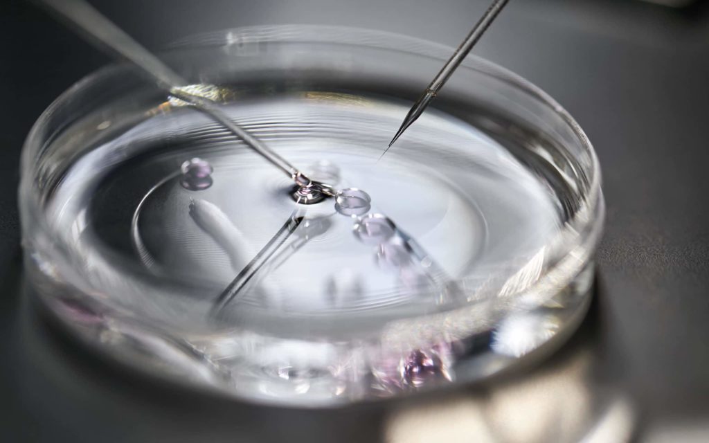 In Vitro Fertilization Ethical Issues in-vitro-fertilization-ethical-issues