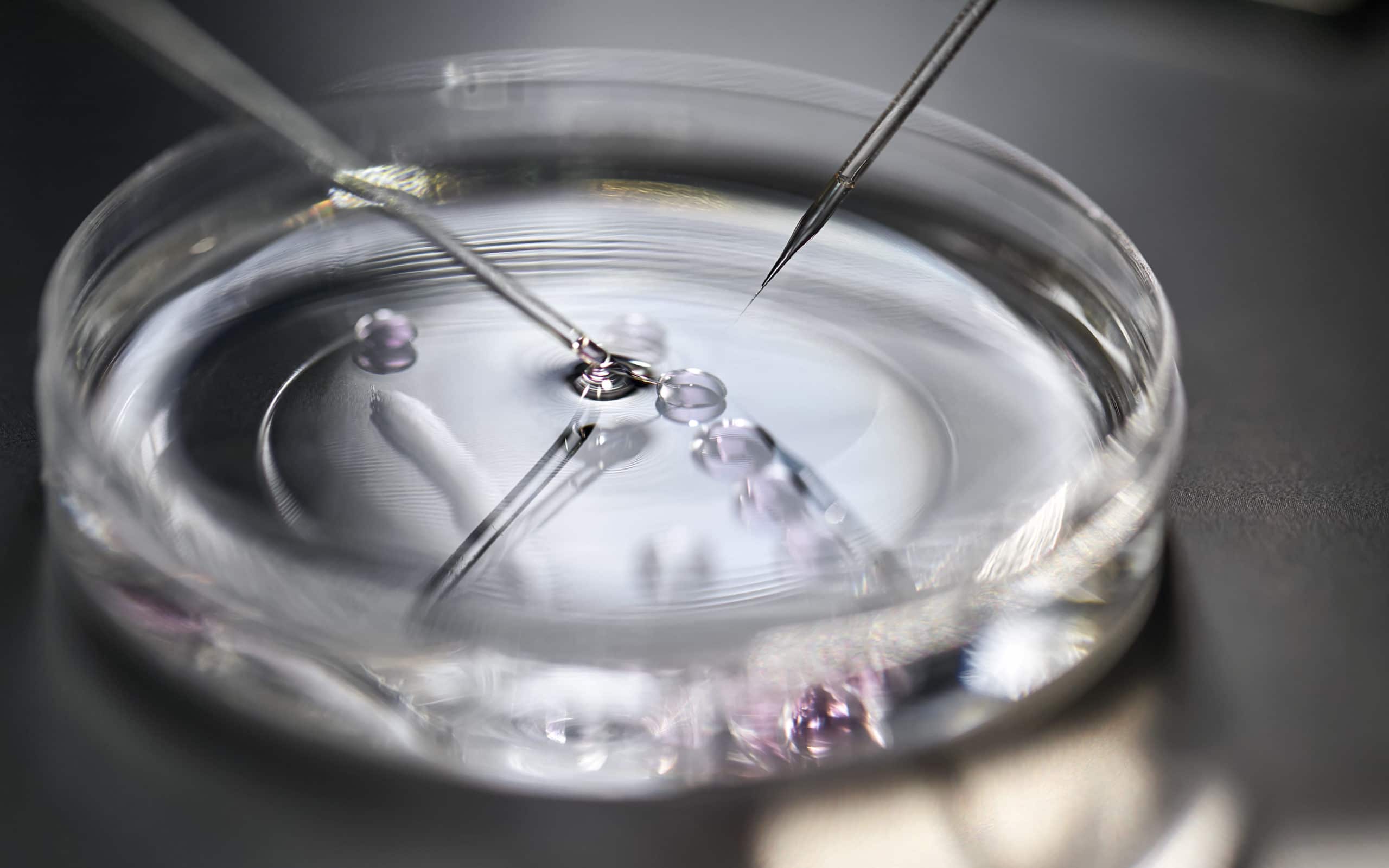 In Vitro Fertilization Ethical Issues