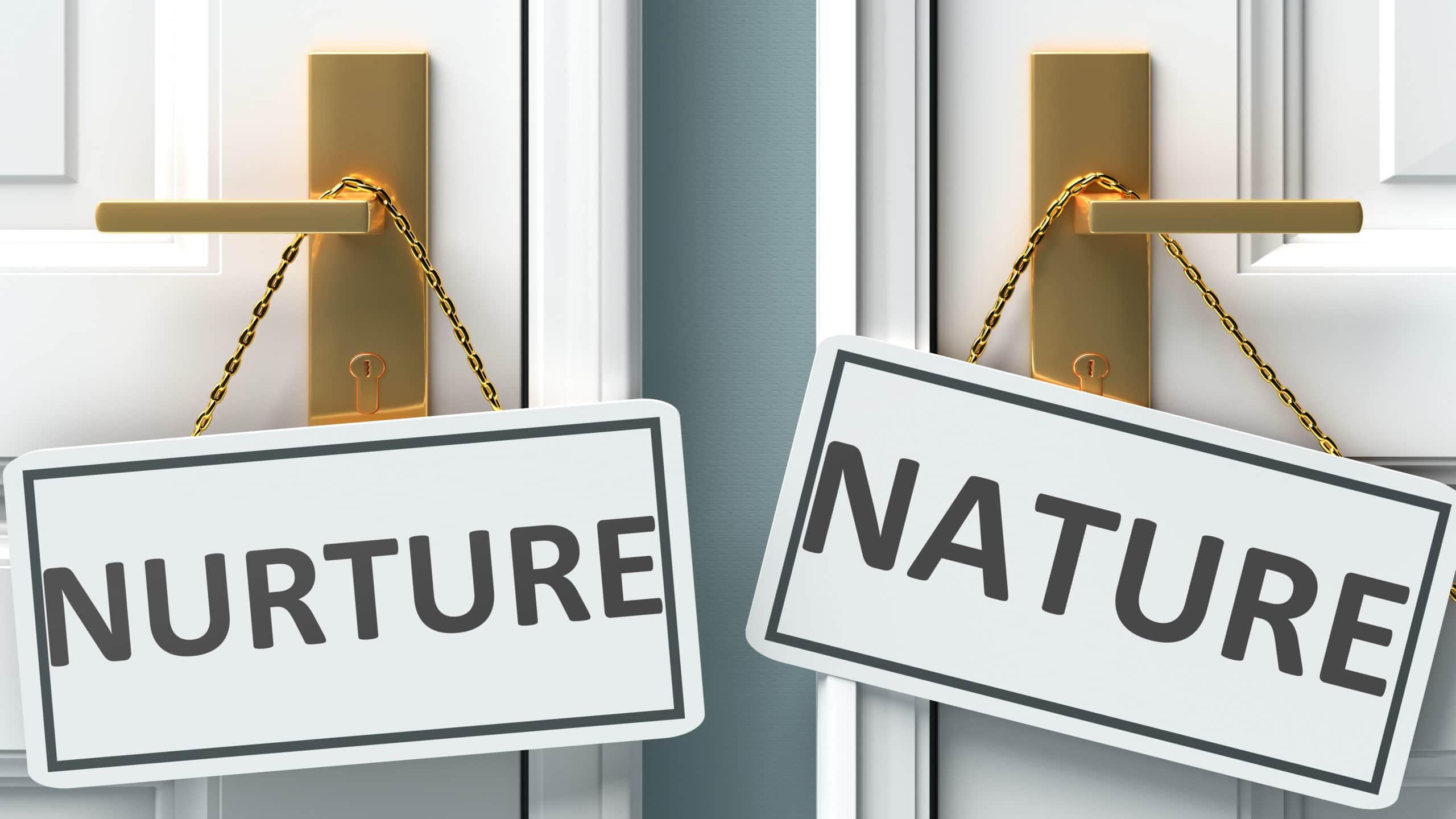 is homosexuality nature or nurture