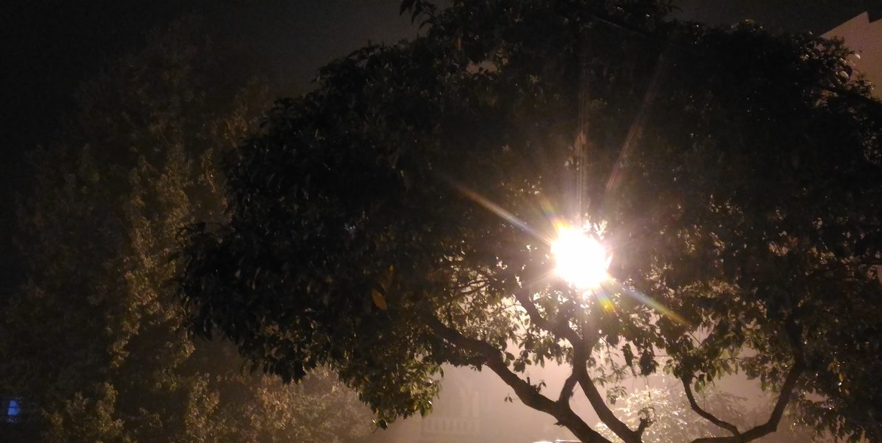 rays of light shining through tree hope