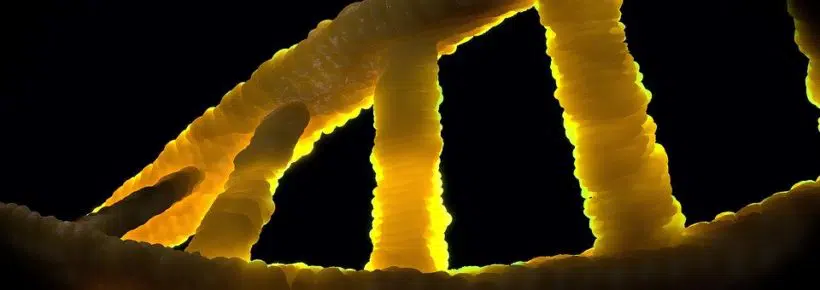 cool yellow dna picture