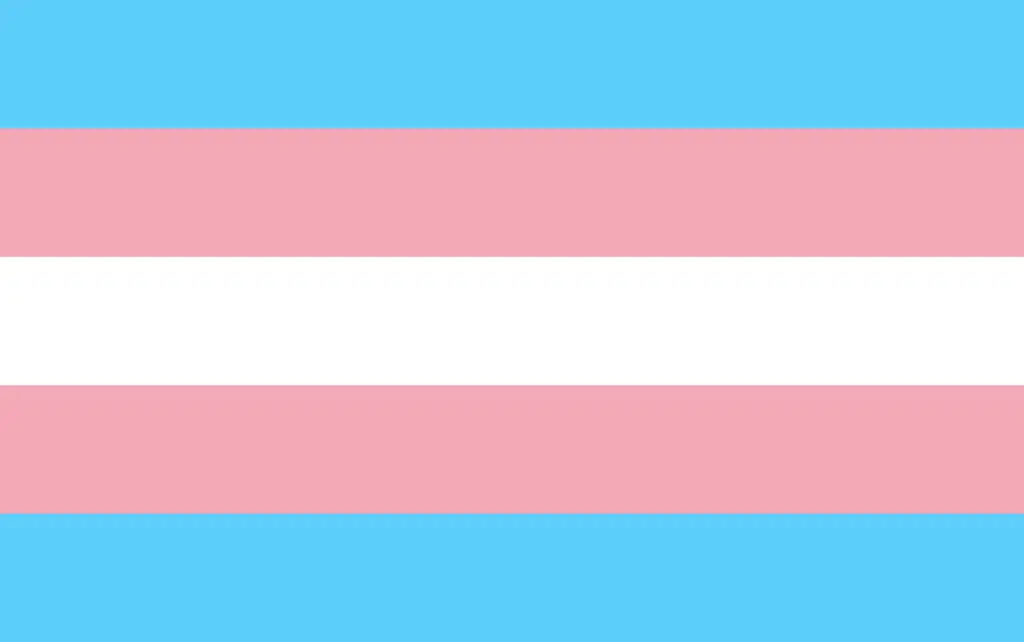 transgender flag