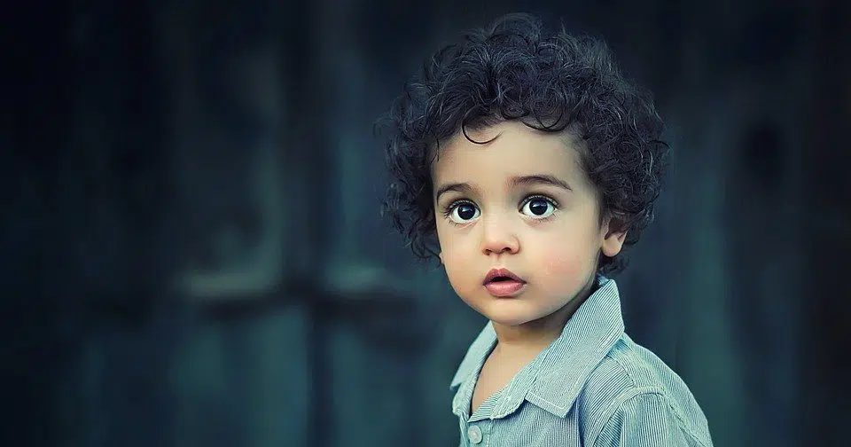 child, little boy, curly hair
