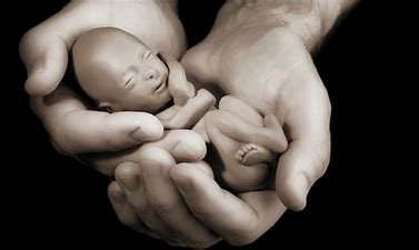 pre-born baby in hands of God