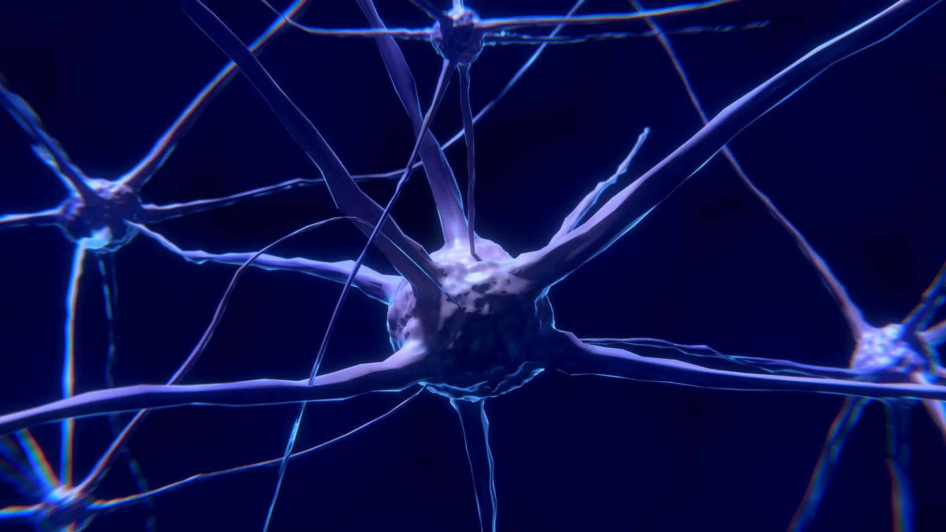neurons or nerve cells in the brain