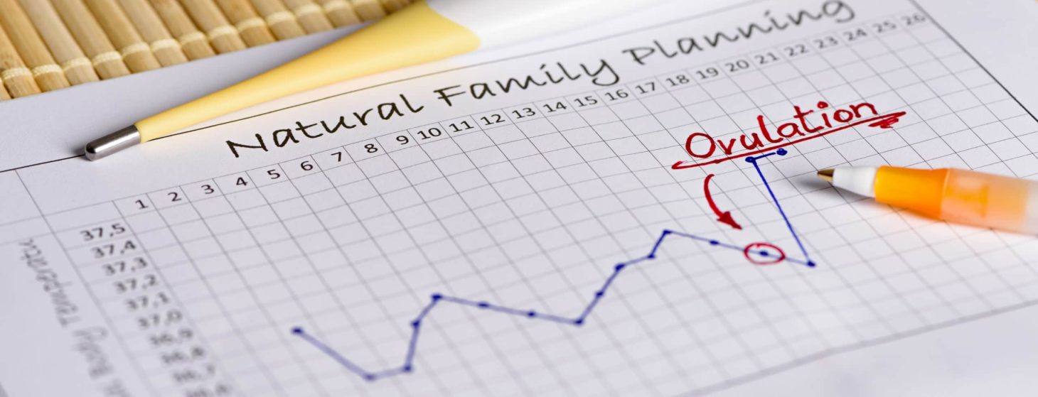 natural family planning chart