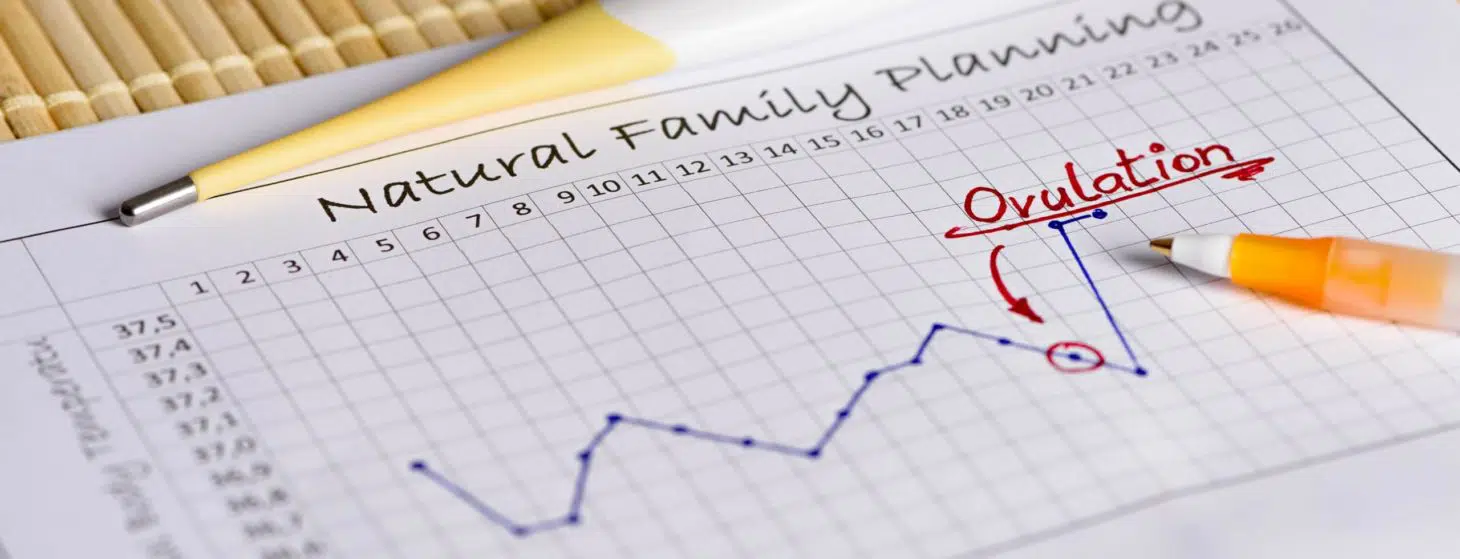 natural family planning chart