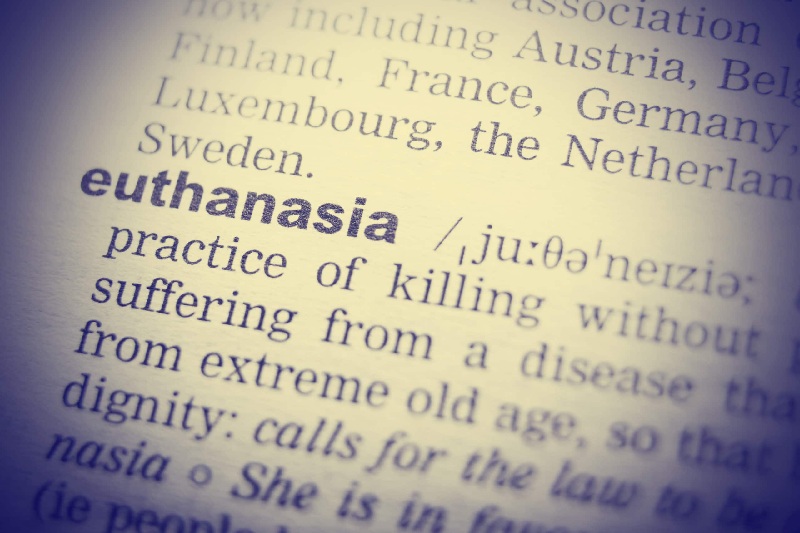 Definition of word euthanasia in dictionary. Close up shot