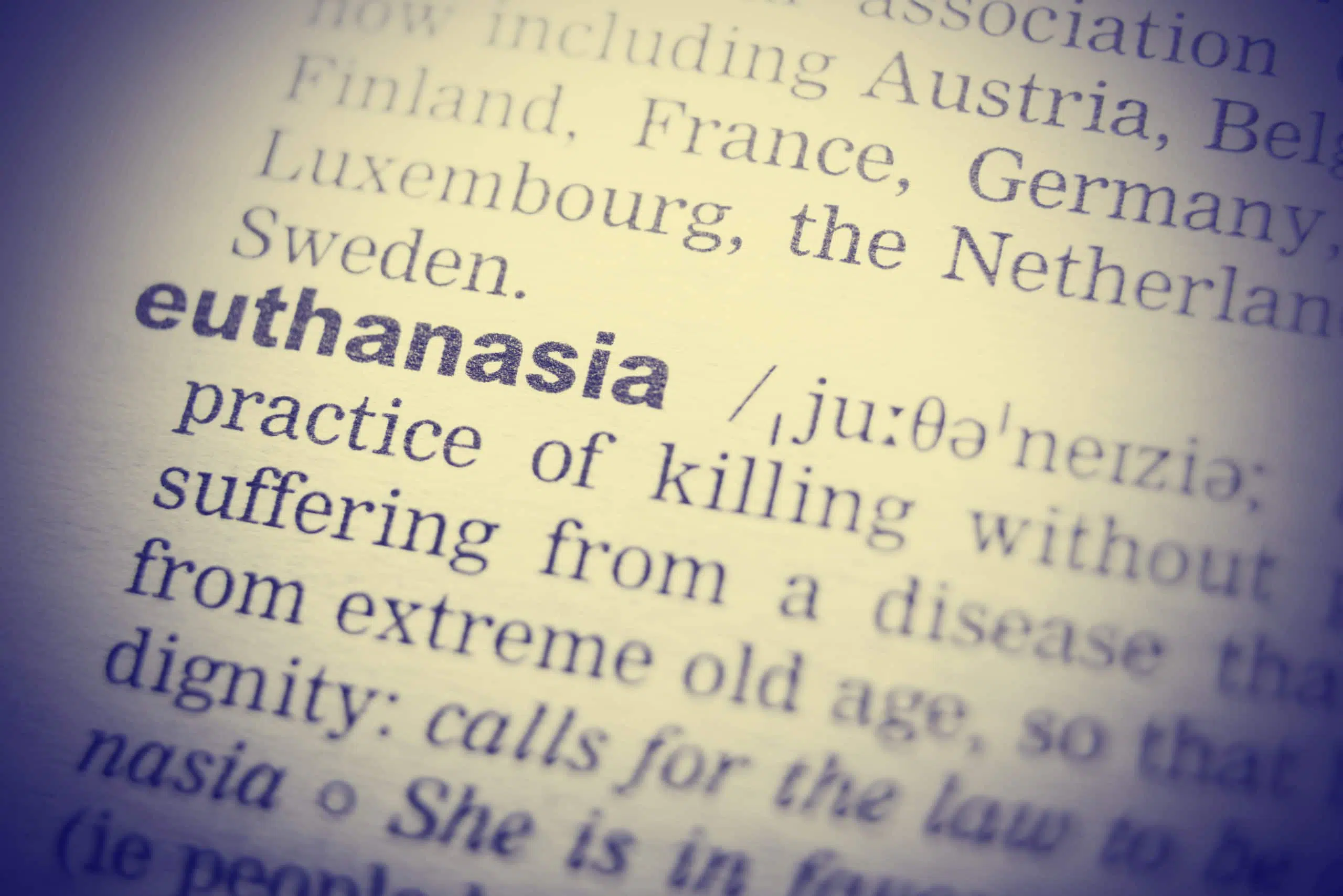 Definition of word euthanasia in dictionary. Close up shot