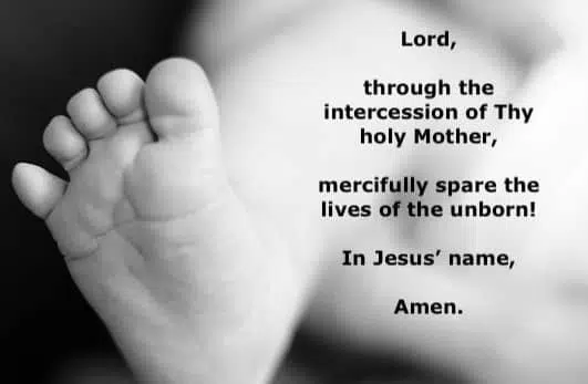 prayer for the unborn