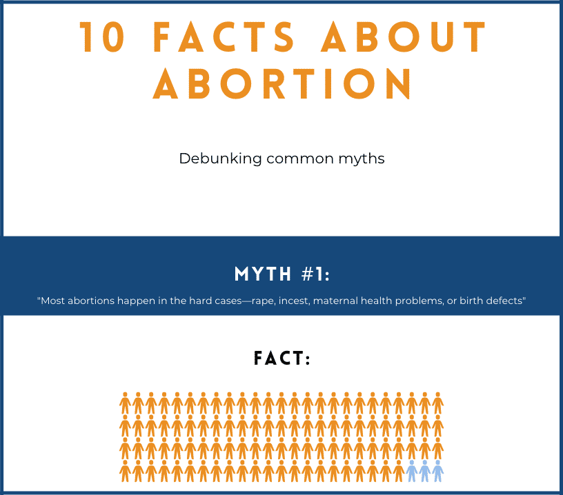 10 abortion facts infographic preview
