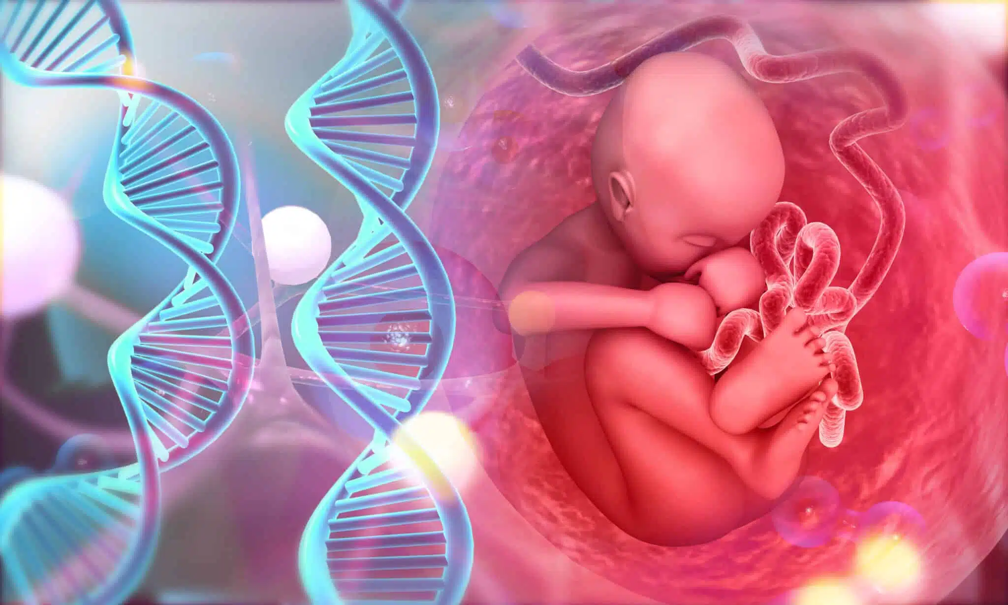Human fetus with DNA strand. Medical concept. 3d illustration