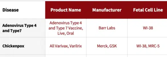 products that use aborted fetuses