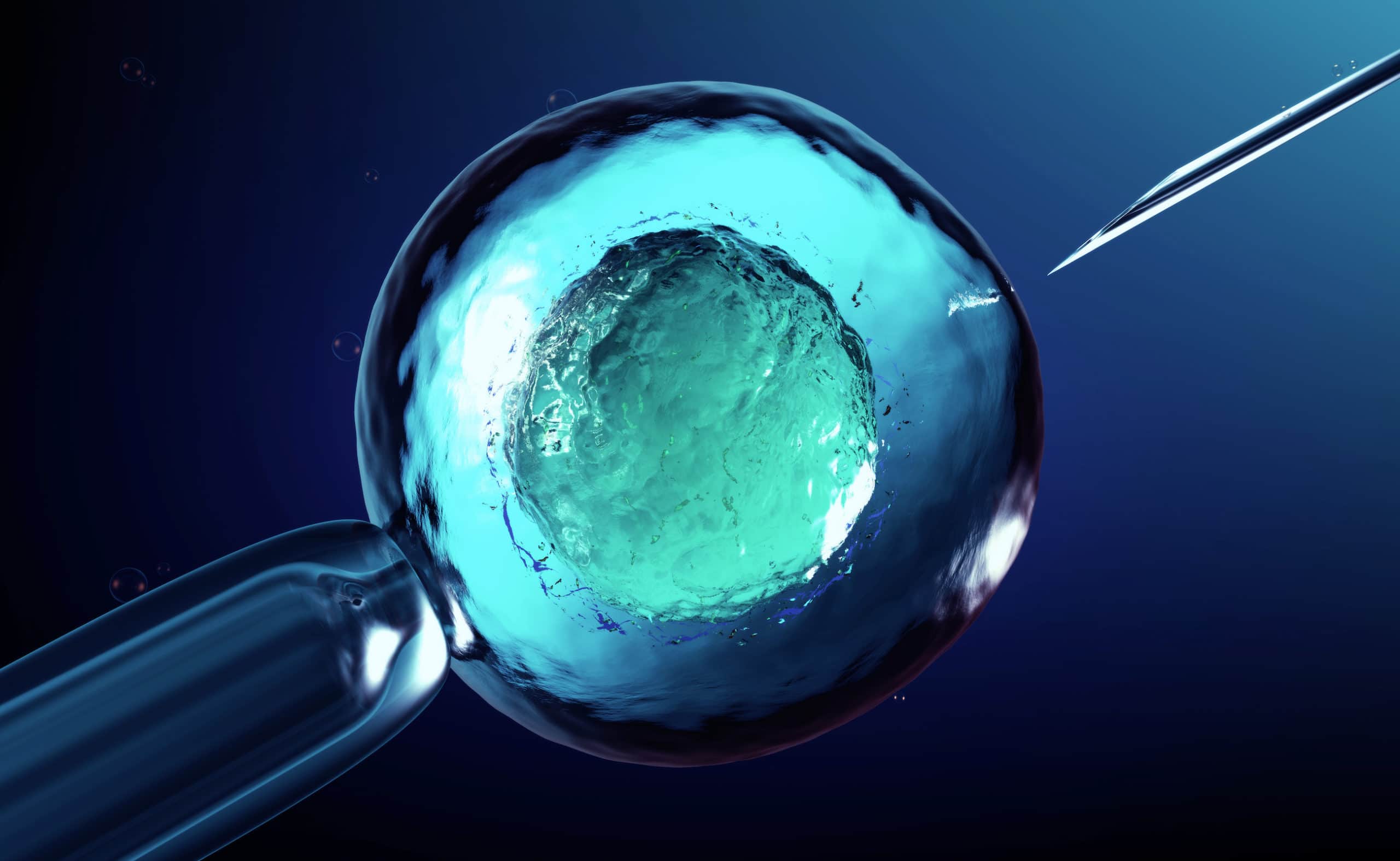3D rendering of an artificial insemination or in-vitro fertilization of an egg cell