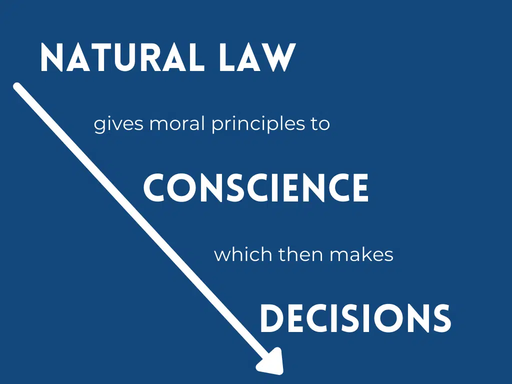 natural law gives moral principles to conscience, which then makes decisions