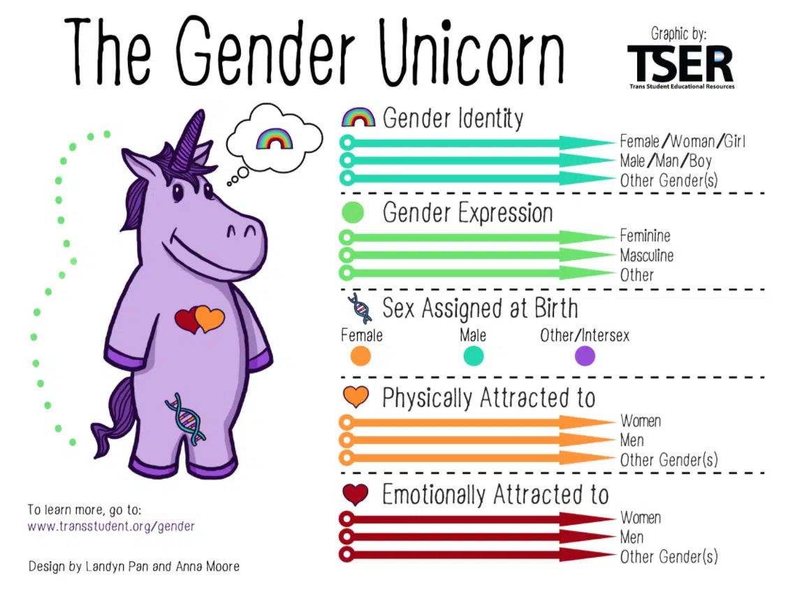 the gender unicorn