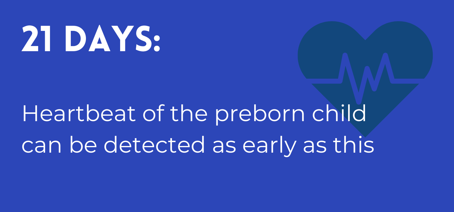 a baby's heartbeat can be detected as early as 21 days after conception