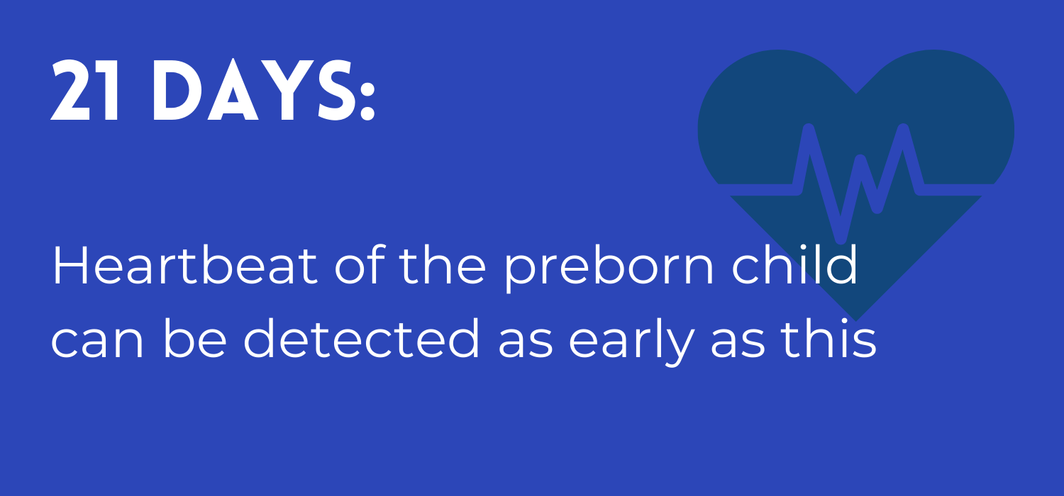 List of 25 when does a fetal heartbeat develop 2 When Does an Unborn Child Develop a Heartbeat?