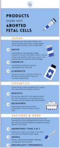 Screen Shot 2021-12-13 at 3.54.39 PM preview image: products that use aborted fetal tissue infographic