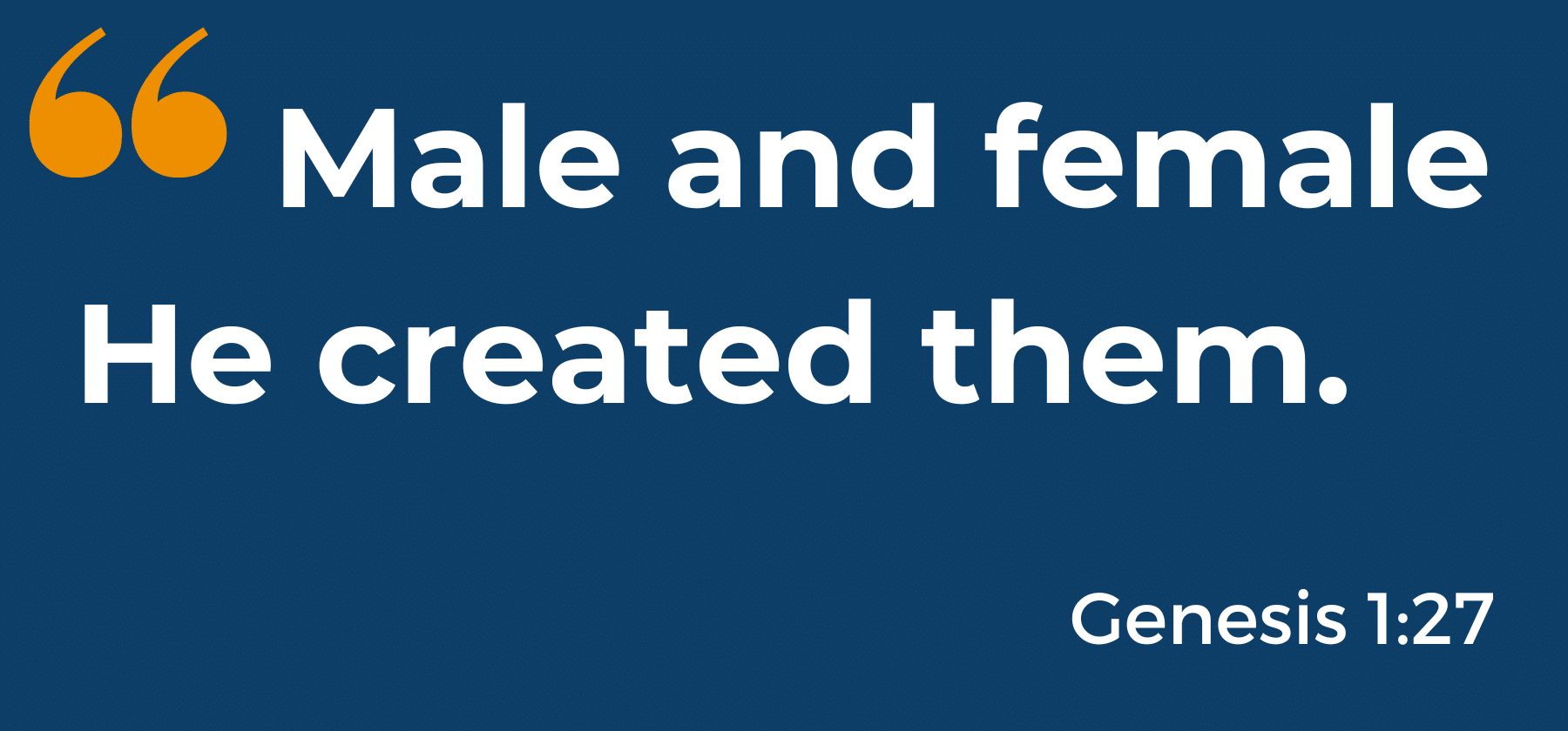 Genesis 1:27