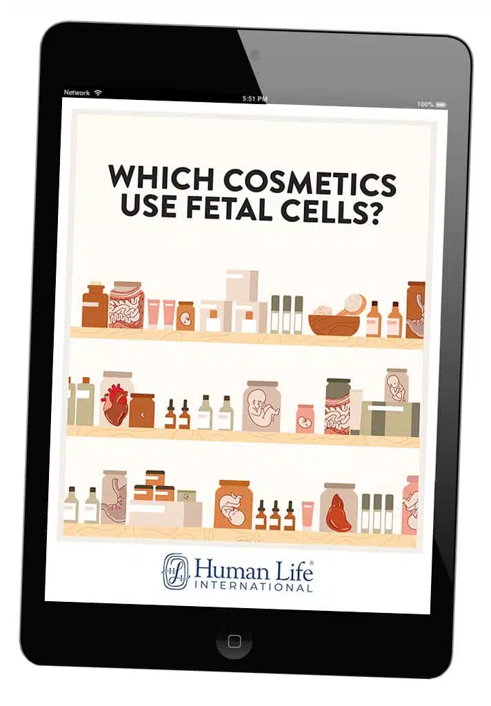 cosmetics-ebook-cover