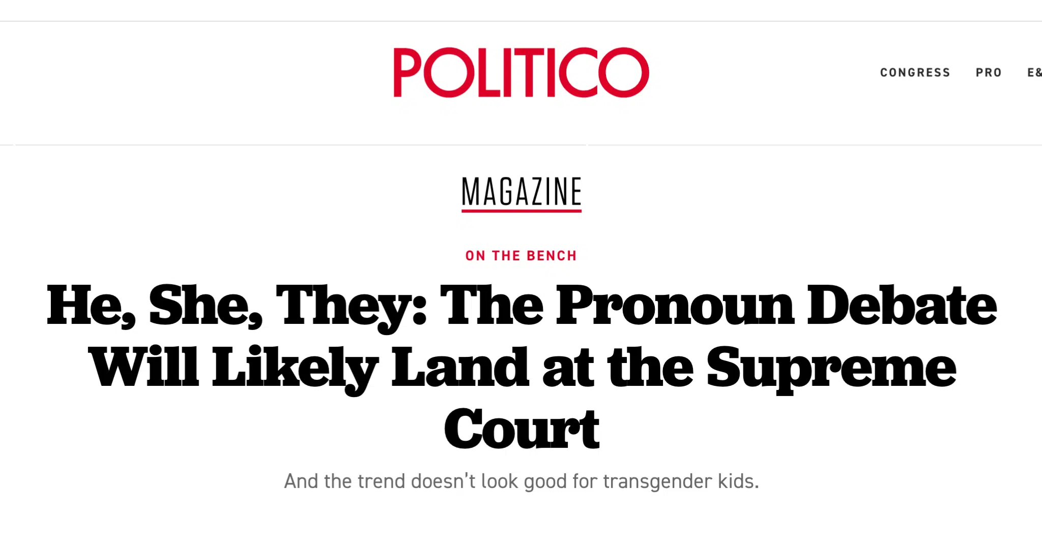 headline from Politico on the pronoun debate potentially reaching the supreme court