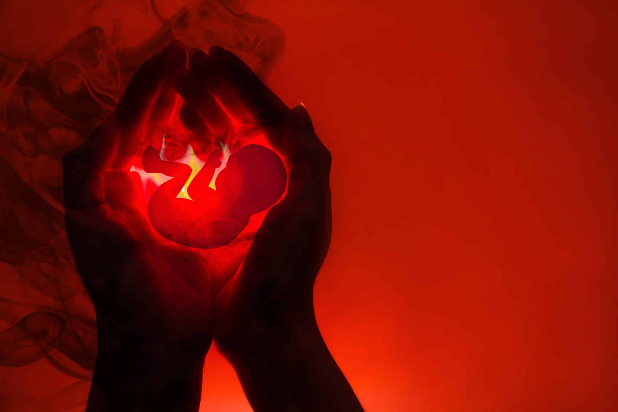 hands holding embryo animated